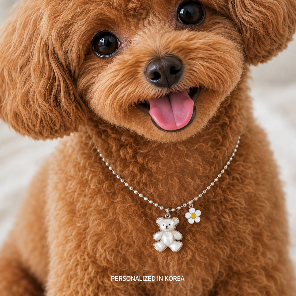 Pudding Bear Custom Pet ID Tag | Personalized Dog & Cat Tag