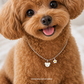Embossed Bear Custom Pet ID Tag | Personalized Dog & Cat Name Tag